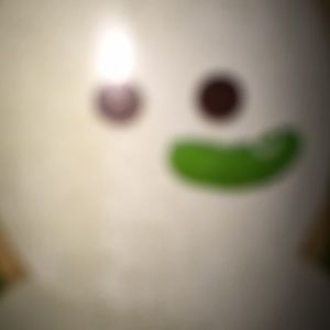 Meet your Posher, Xavier